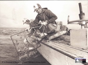 Pete Freeman a Hampton crabber fishing a string of pots